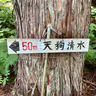 あと、、、50m、、、🚶🏻‍♂️💨
