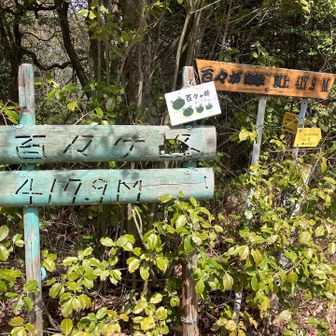 百々ヶ峰頂上、、、人がいっぱいでした。