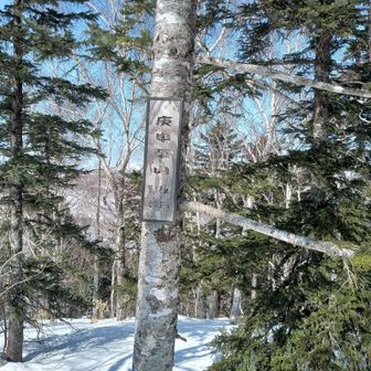 結構な急登でした～