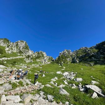 キャサリン･:＊+°