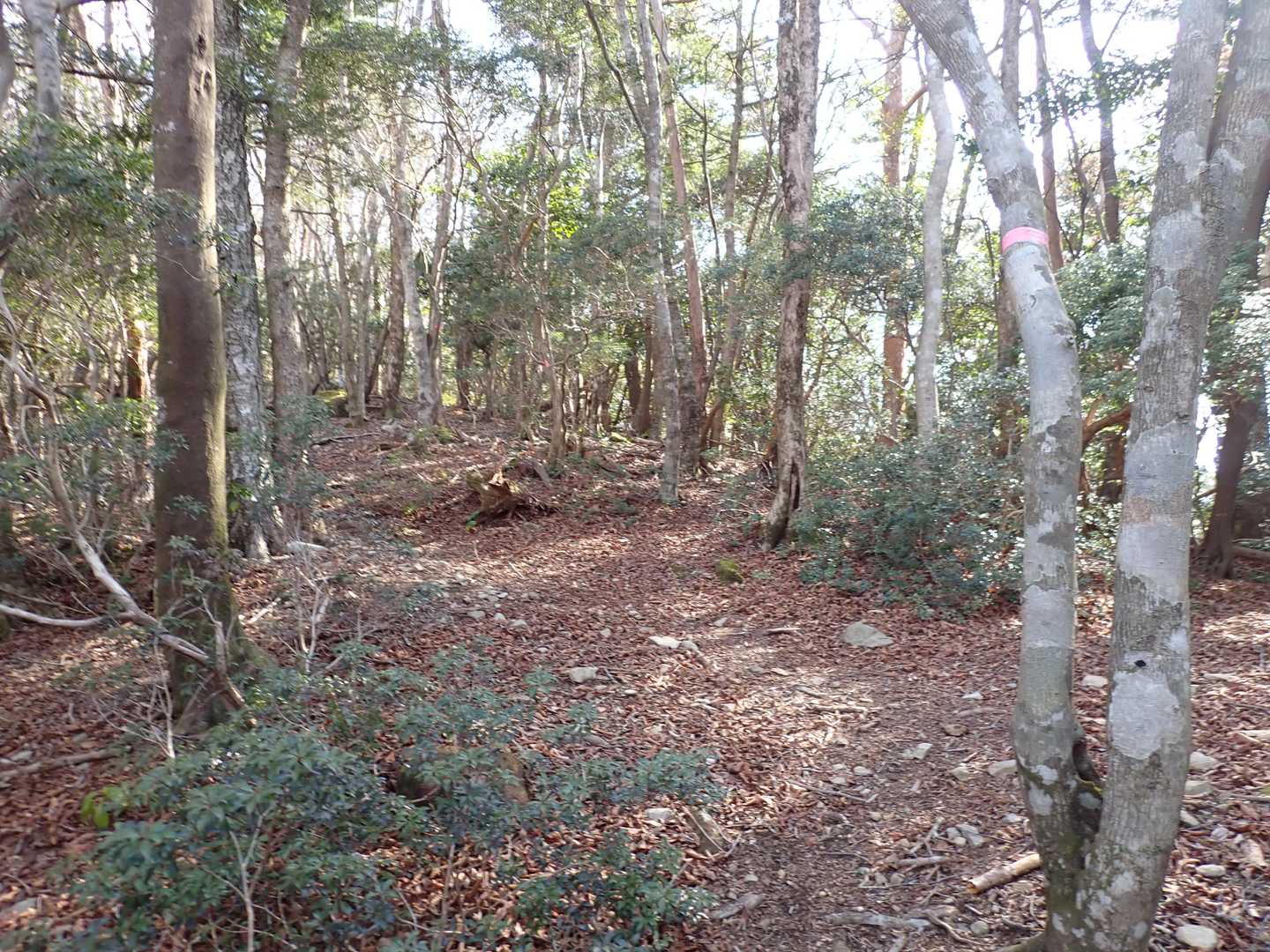 道は明瞭