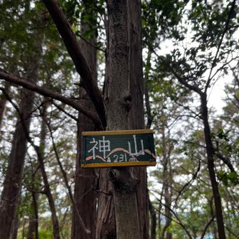 神山✨なかなか神々しい名前✨
ちなみに何故か下山しながら通るピークと思ってたら、普通に登りました😅