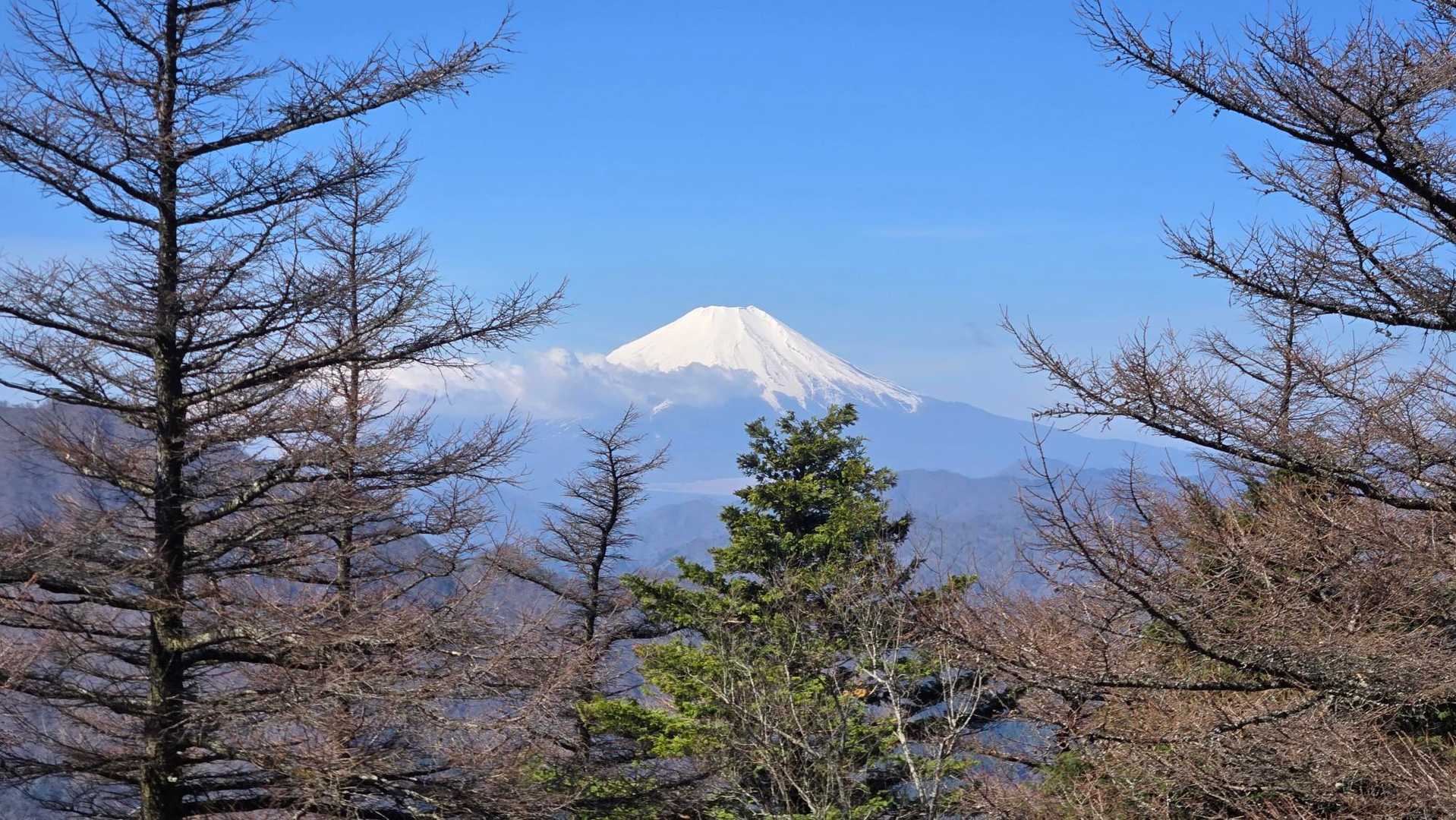 きれいに富士山見れられた