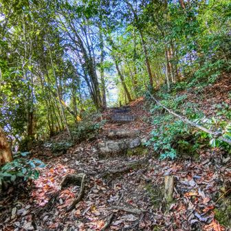 早速登り始めます