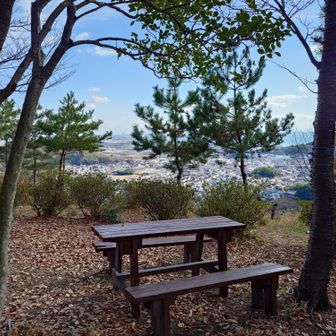 こちらも豪華なベンチと展望