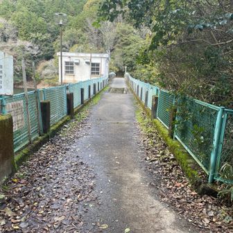 ダムの上を渡り