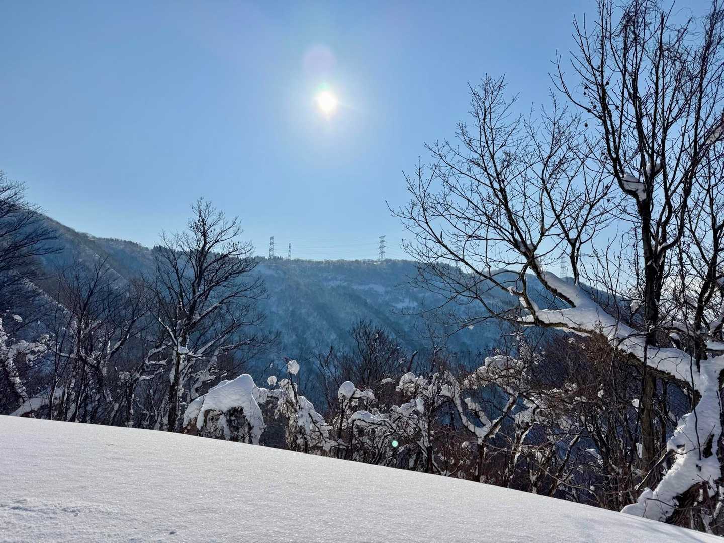 月惜峠-月惜山 往復コースの写真