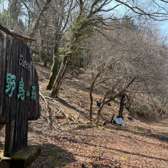 下ってココから林道戻りです