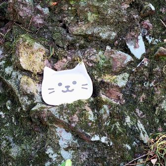 こねこ山では、こんな可愛い小さなオブジェが飾ってありましたよ🐱