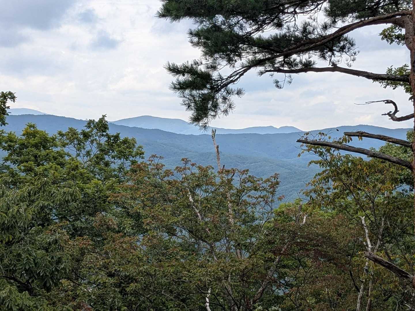 霊山方向👀