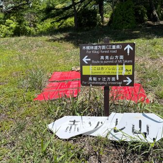 赤いのは🟥鳥獣保護区の札