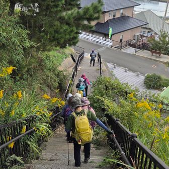 あらっもう下山しちゃったよ
小鷹神社⛩️の石段は恐ろしく急なので此方に下りてきましたもんね