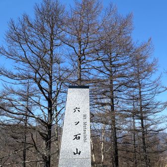 ここまですれ違った人は5人の代わり山頂は10人くらい居て賑やかでした♪