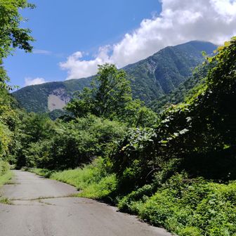 こんなに舗装路がありがたく感じたのは初めてや