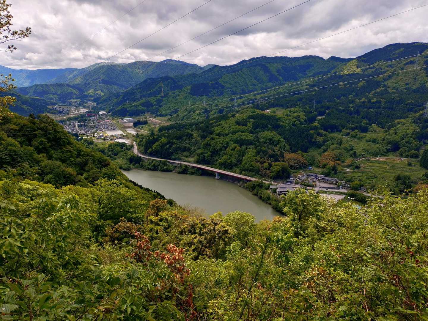 神通川は重めのグリーン色