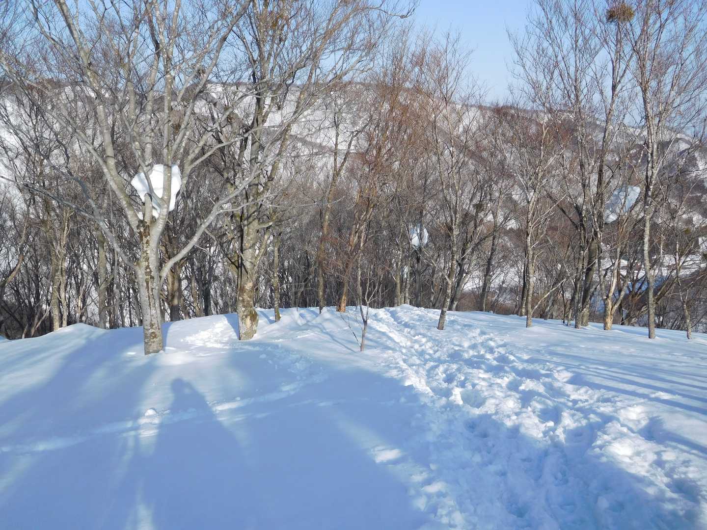 栃谷登山口-片折岳 往復コースの写真