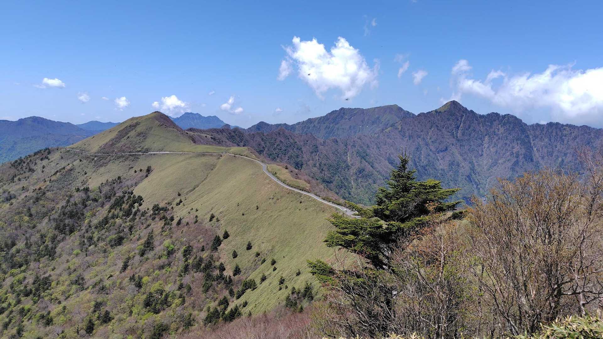 東黒森登山口-伊予富士-東黒森-自念子ノ頭 周回コースの写真