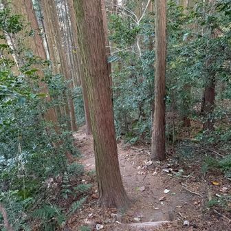日が暮れる前に帰りたいから先を急ぎます
原岳から當麻山口神社まで下ります
階段少なめで下りやすかった😃