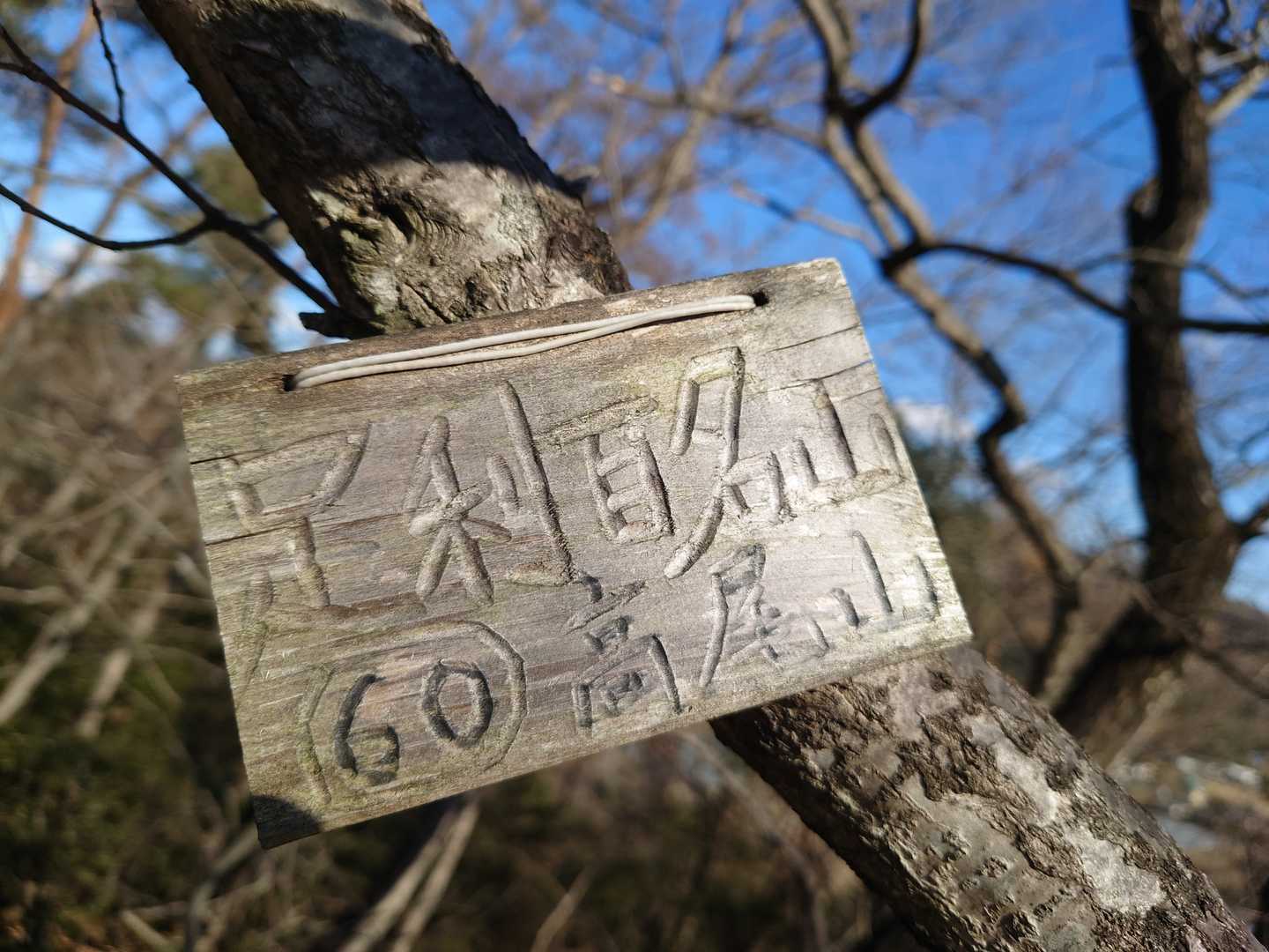 足利の高尾山✨です😁