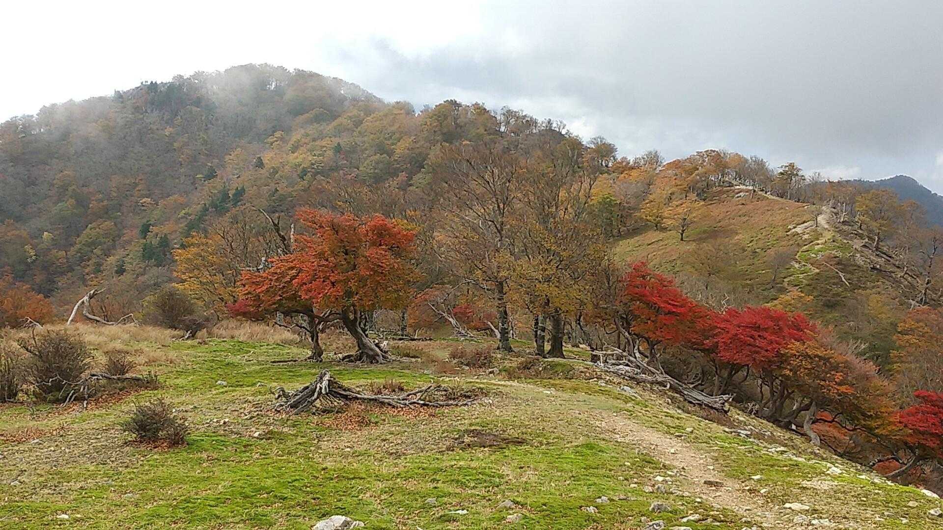 桧塚奥峰をめざす😆