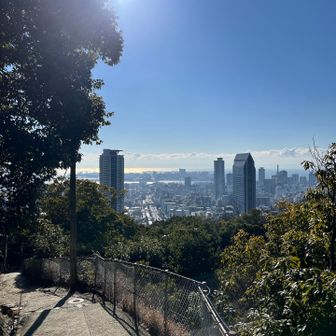 街に帰って来た〜