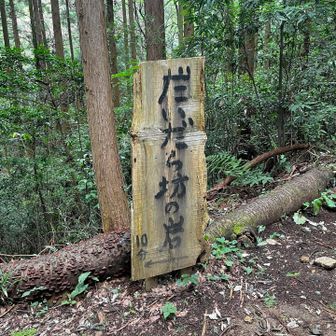 分岐のだいだら坊の岩🪨
方面に行ってみます😆