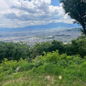 御殿山見晴台から