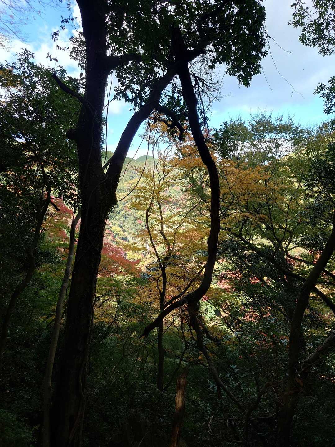 遠くに滝が見えるポイント
