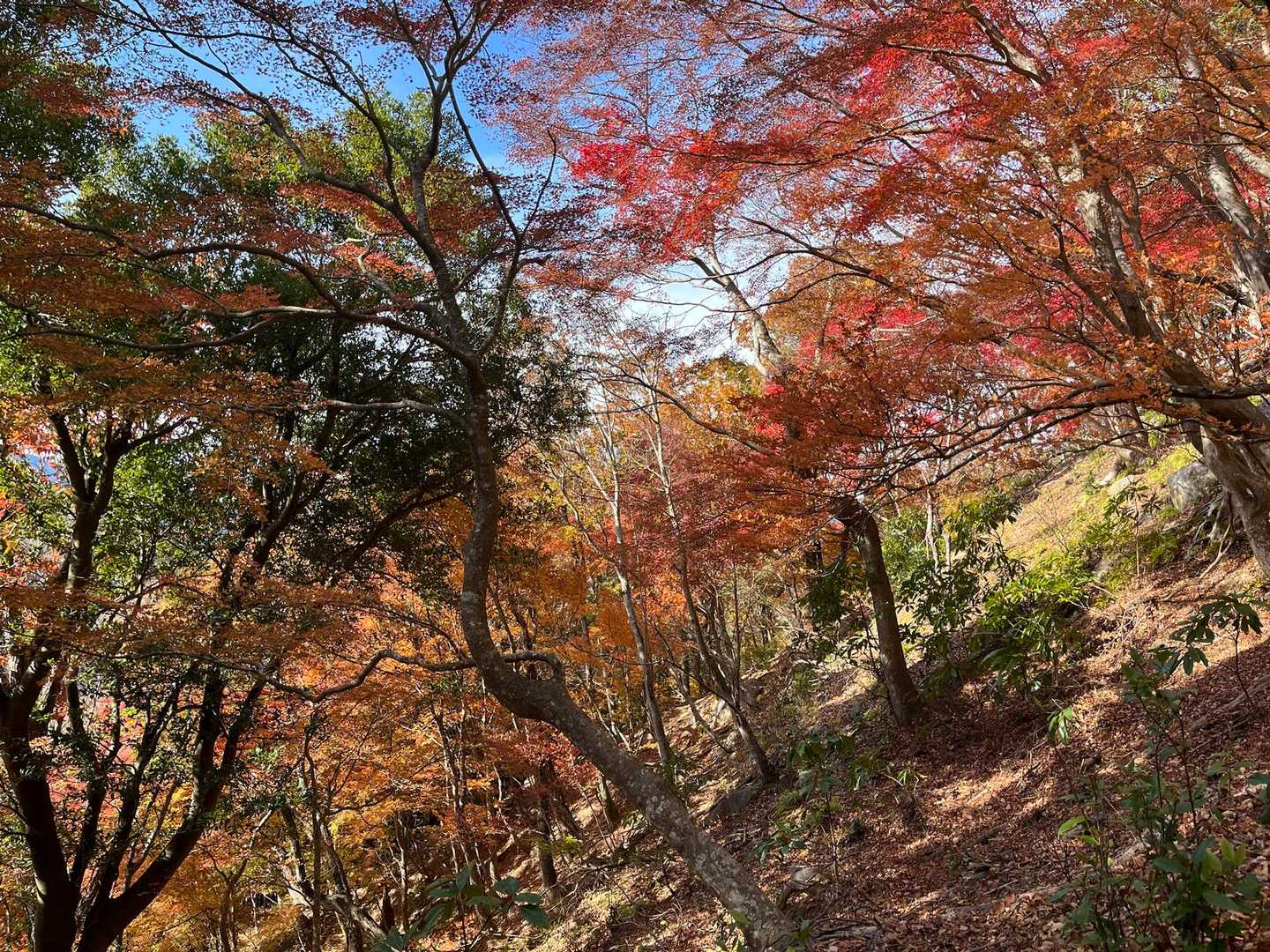 阿曽浅間山-網掛山-大理石石灰採石跡-阿曽駅-阿曽観音堂 縦走コースの写真