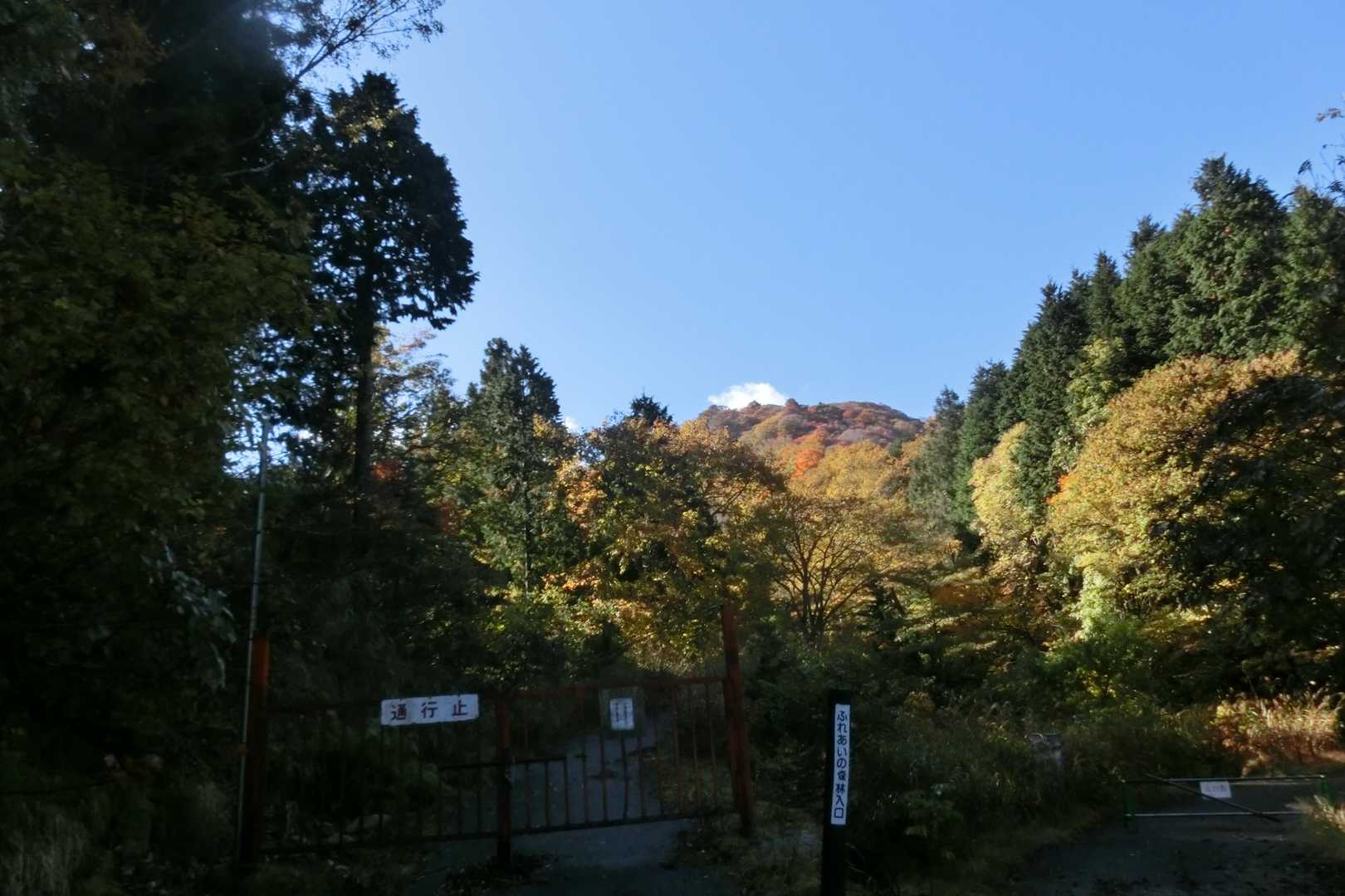 貝月山 往復コースの写真