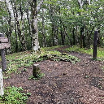 大洞山山頂