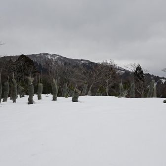 そして今年最後のピーク前山…ですが、山名板等特に見当たらず💧雪に埋まってるんかな？ここまで結構な急登で来るの大変だったし、ノートレースに突っ込んで探してみようか迷ったけど当ても無いのでやっぱヤメ。大晦日だしさっさと帰りましょ〜😅