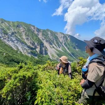 さるにゃん🐵🍌