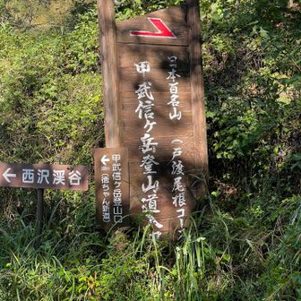 ここではなく、、、