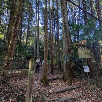 風のみちは、ここで終わり