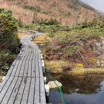 黙々と続く、木道　モクモクと続くから、モクドウ？