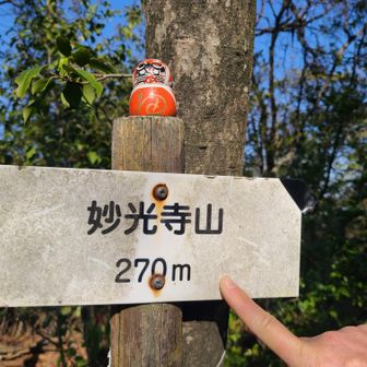 4座目の妙光寺山🗻GET🚩
上にあるダルマさんは、勝尾寺のものらしい。ここで、大阪方面から来てた3人組のお姉さんに教えてもらいました。調べてみたら、易占『六十四卦ダルマみくじ』だそうです。

そして、ひとしきり山談義で盛り上がりました。ありがとうございました😊