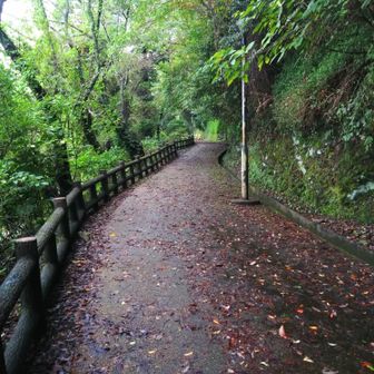 音無山登山口