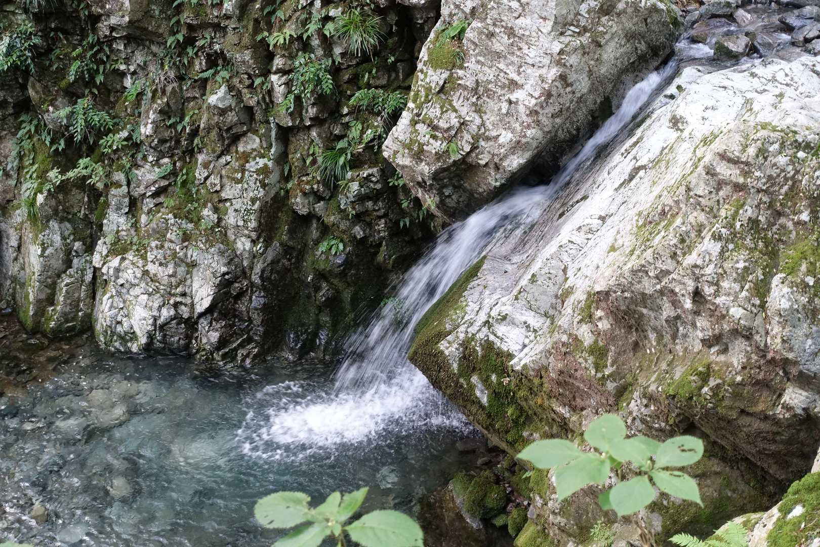 癒やされ✨
