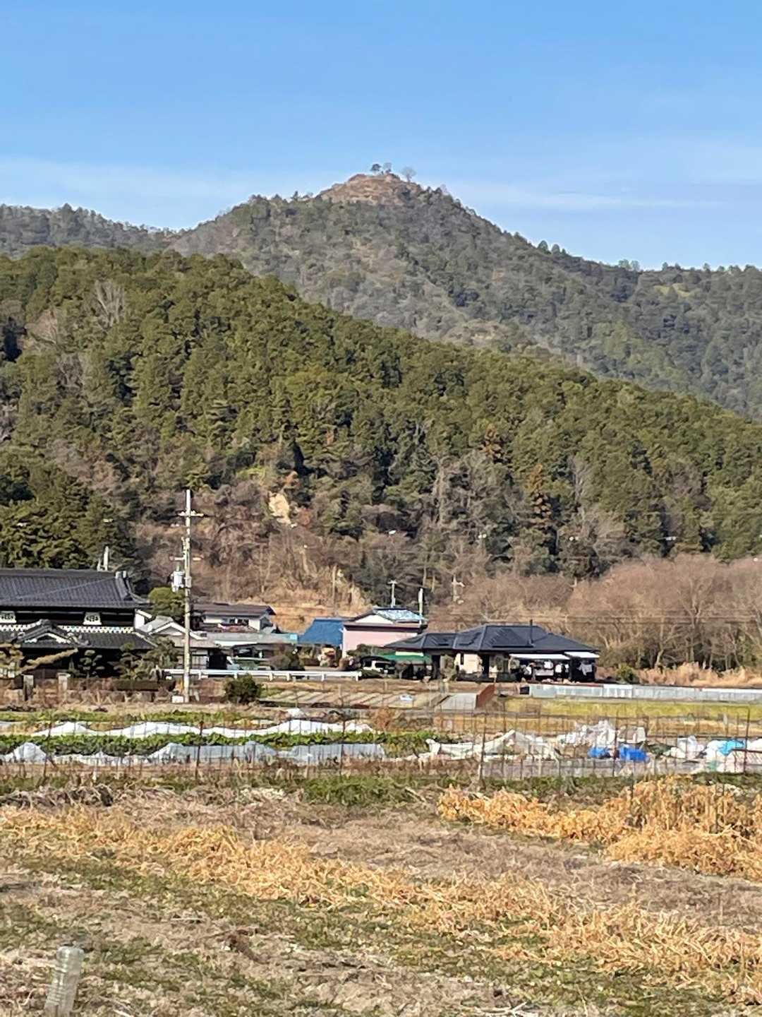 舗装道路を歩いていたら、岩尾城跡が見えました、ここもいい所ですよ😊