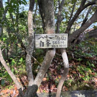 少し離れたところに山看板
これで近江百山92座目となりました✌️