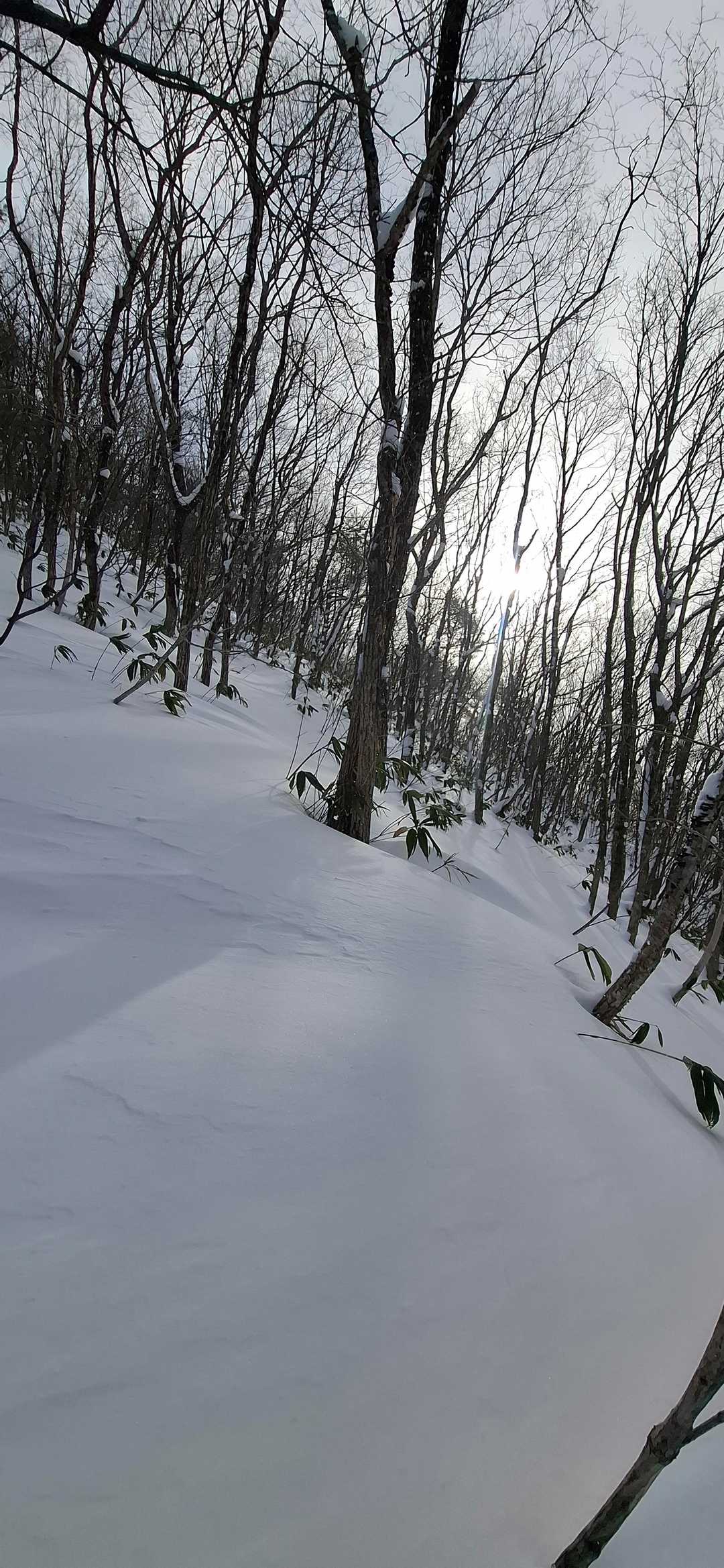 大したことない？さらっさらのぱふばふ