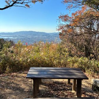 ここで☕️するのもいいねー