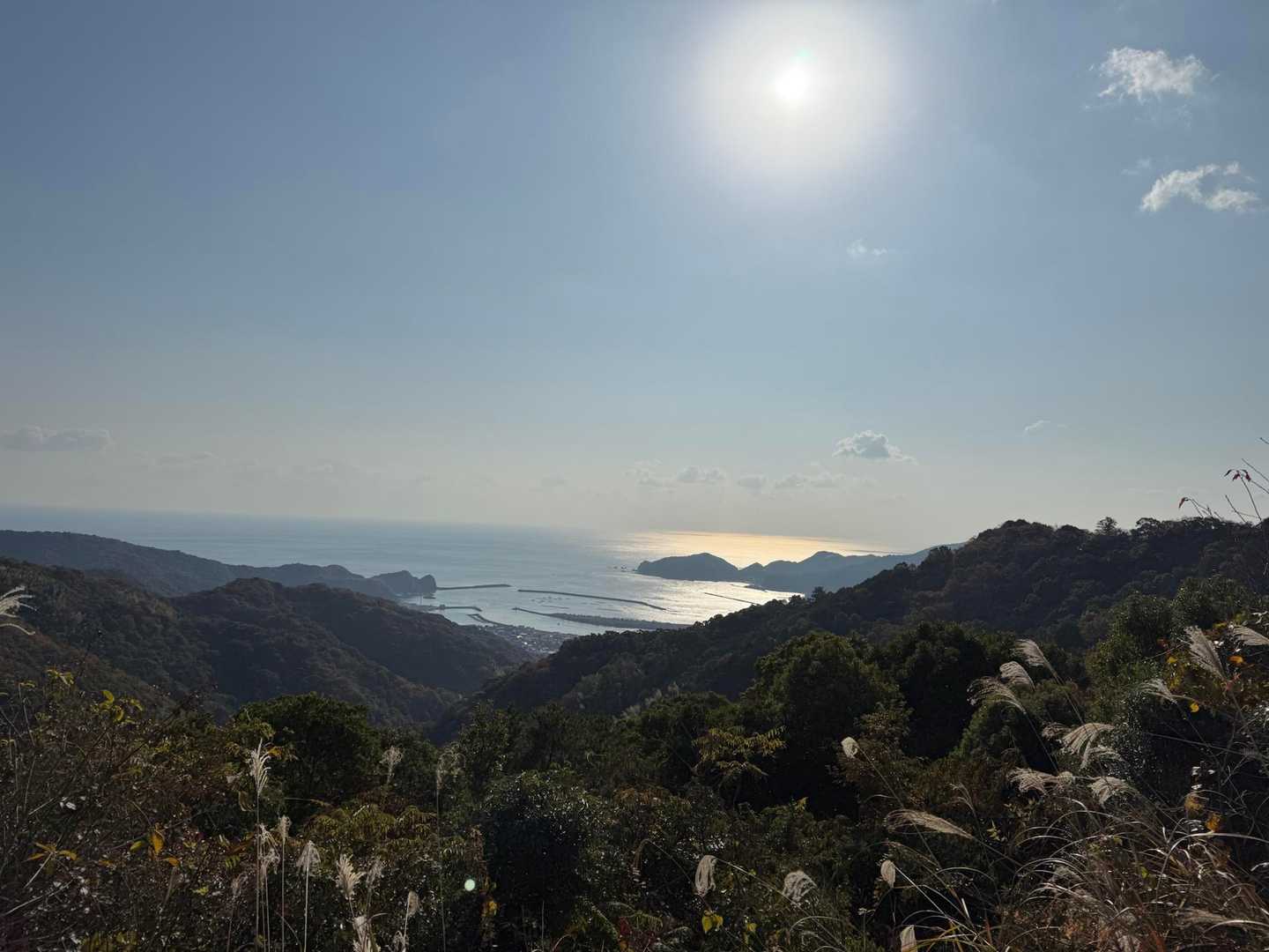 土佐湾