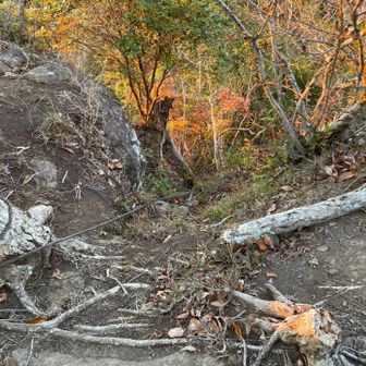 物見塚山に行くためにはここ降りていくの？
足場少なく、慎重に降りました。