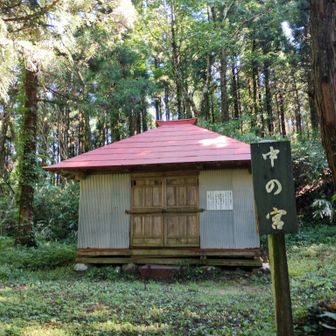 ほぼ中間点、ひと休みです。ここまでの傾斜がキツイ所に鎖があり助かります。