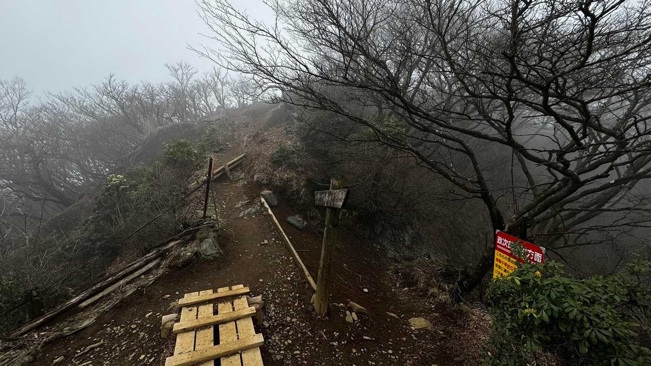鍋割山・塔ノ岳・烏尾山縦走 の写真 39