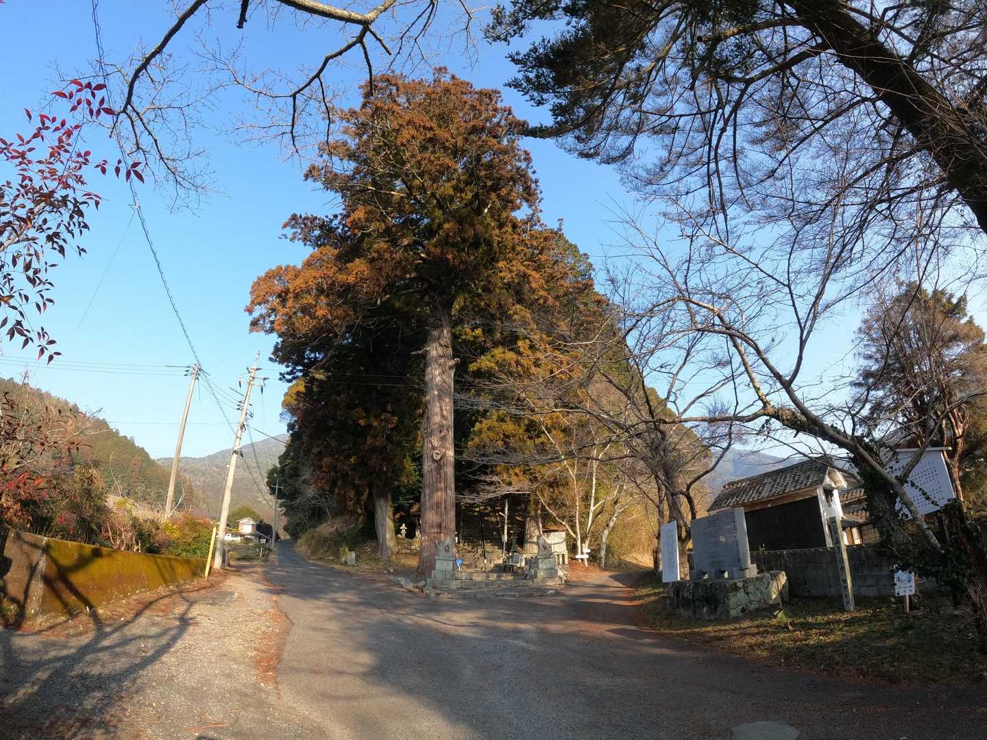 比叡神社駐車場付近
「樹齢千年の大杉が迎えてくれた🙏」