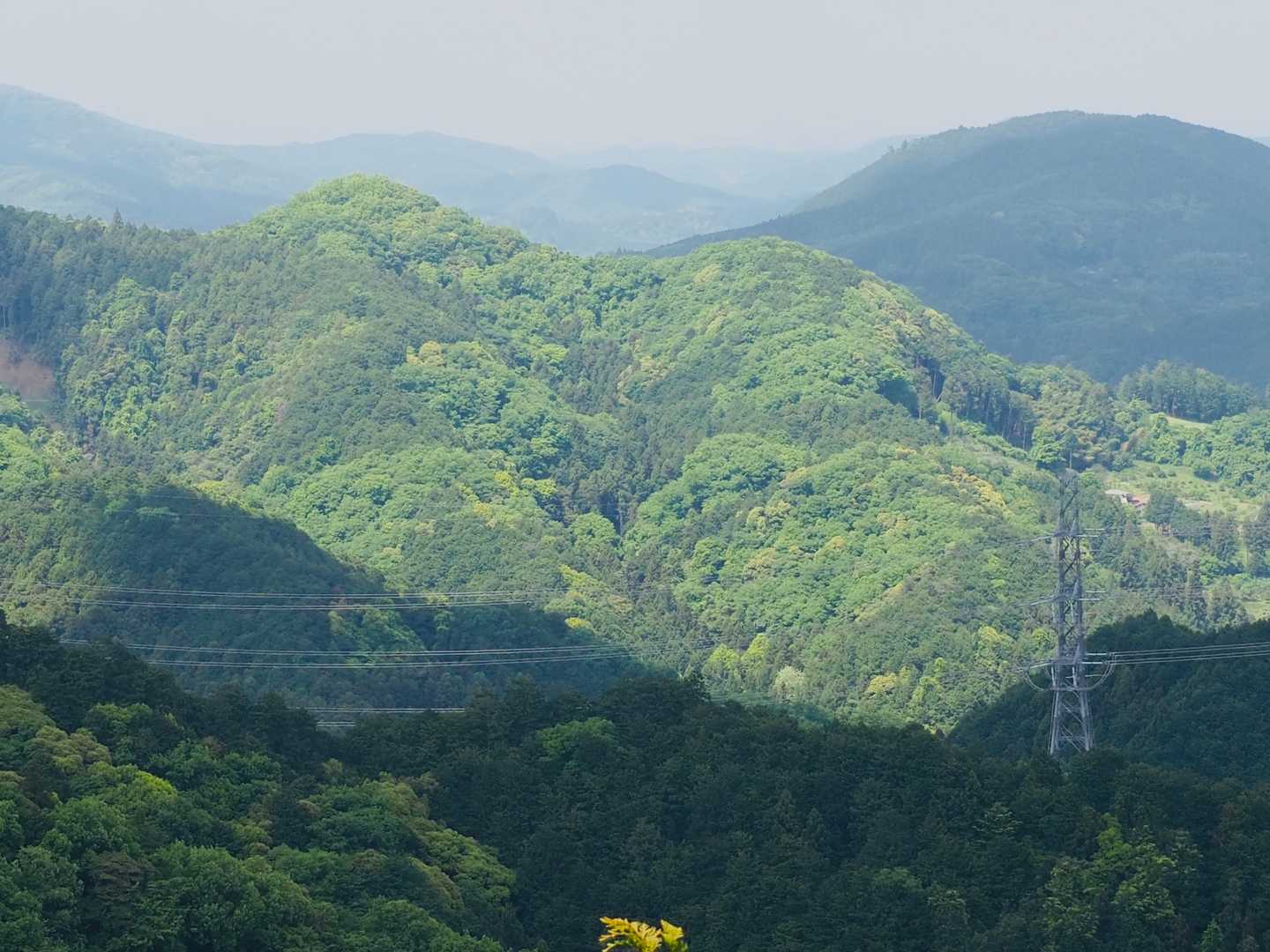 スカリ山-エビガ坂 周回コースの写真