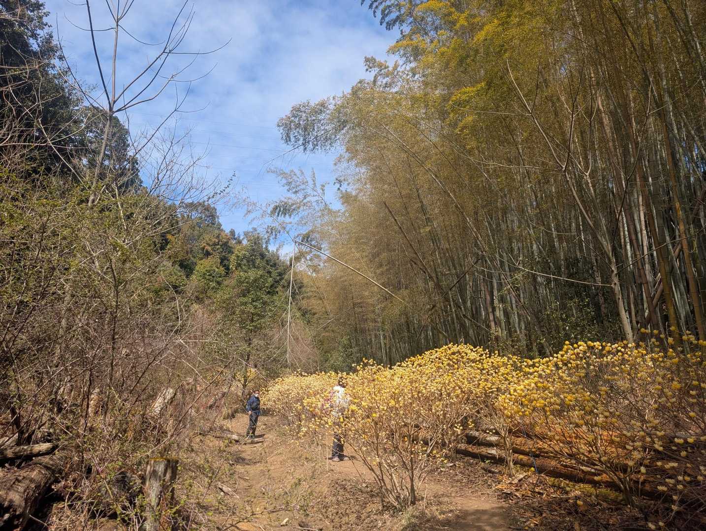 酒解神社-天王山-山崎駅 周回コースの写真